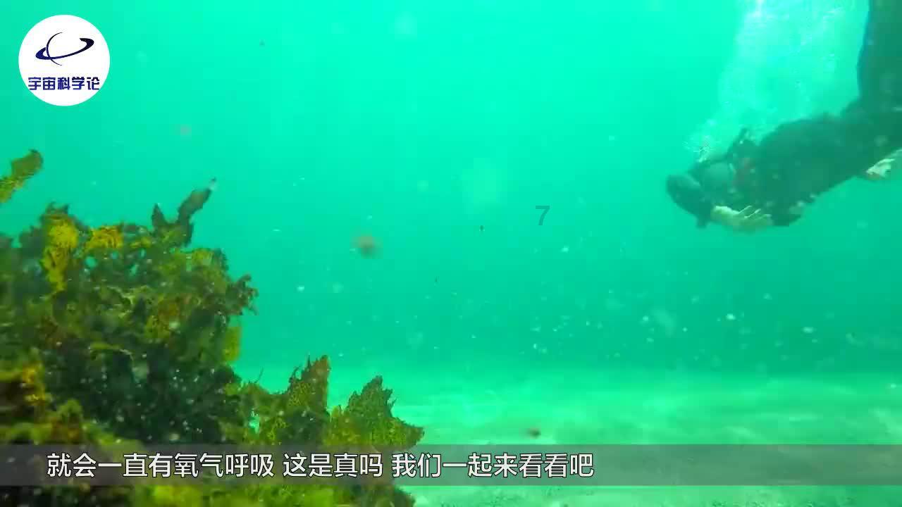 幻想纹章2.2