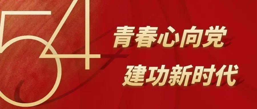 金迷书为何那样游戏画面
