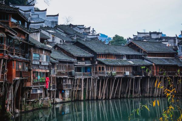 数码宝贝8